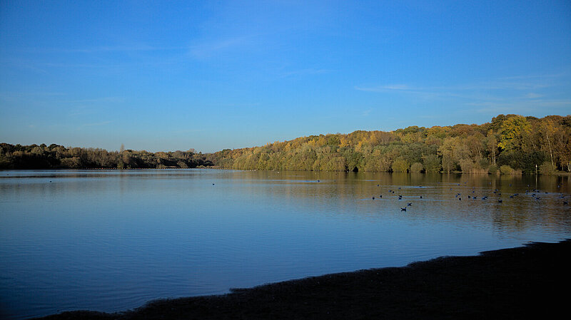 Ruislip Lido